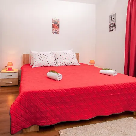 Pet Friendly In Seline