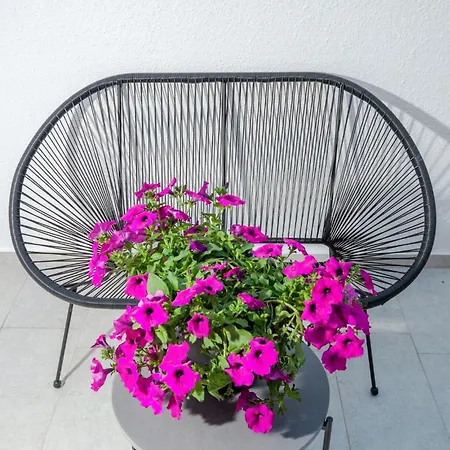 Pet Friendly In Ferienhaus