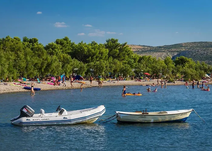 Pet Friendly In * Seline