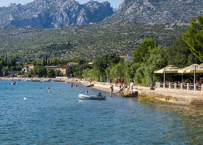 Pet Friendly In * Seline